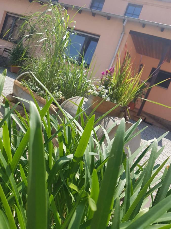 Hotel "Pension Marlis" Garni Reichenberg  Exterior photo